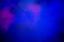 Photos n°8